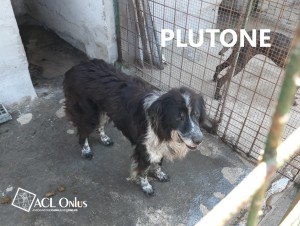 Plutone