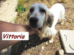 VITTORIA (6)