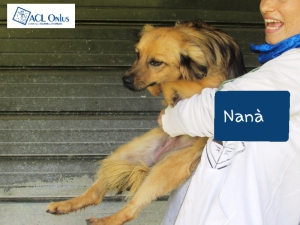 NANA 0