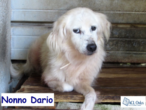 NonnoDario (2)