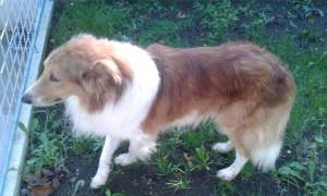 IMG-20181130-WA0004
