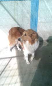 IMG-20181130-WA0006