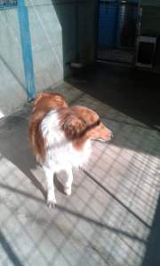 IMG-20181130-WA0007