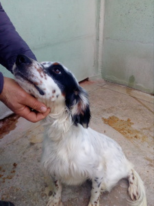 BERTO3