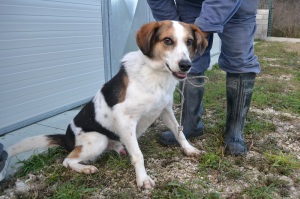 CICCIO (1)