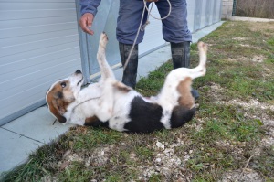 CICCIO (3)
