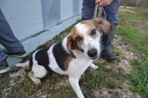 CICCIO (4)