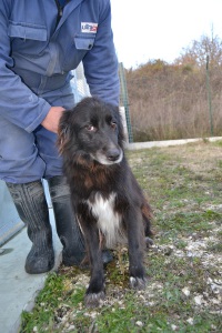 JENNY (1)