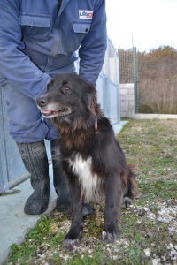JENNY (2)