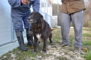 JENNY (3)