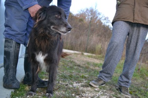 JENNY (5)