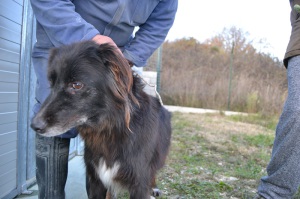 JENNY (8)