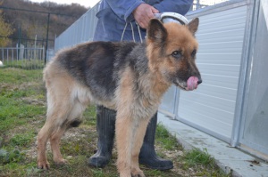 MAX (4)