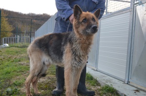 MAX (5)