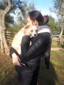 CHICA3