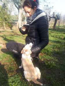 CHICA4