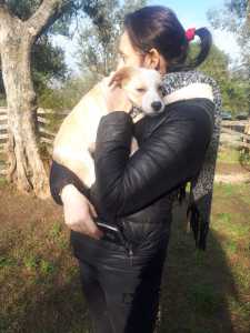 CHICA6