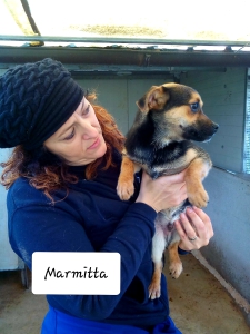 MARMITTA