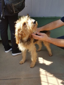 MILO