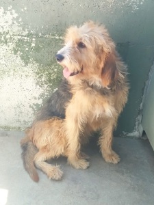 MILO9