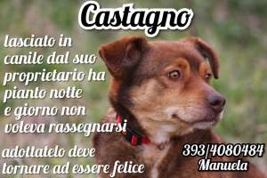 FB_IMG_1553965561245
