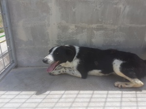 20190615_120125