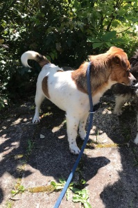 IMG-20190508-WA0031