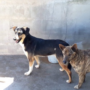 received_915015275557120