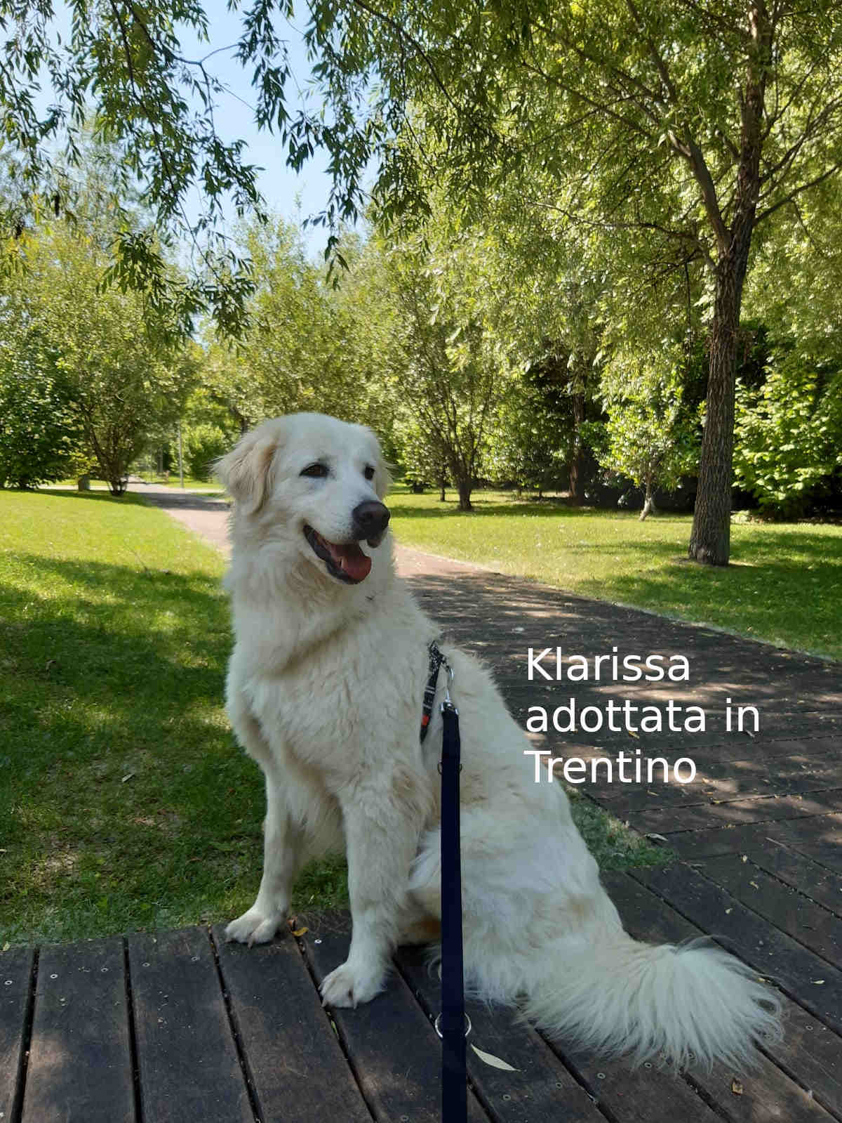 Klarissa adottata in Trentino