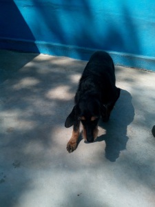 TALA3
