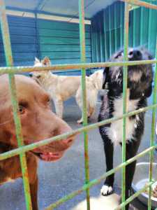 IMG-20190723-WA0154