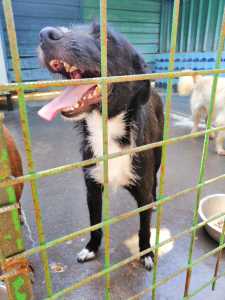 IMG-20190723-WA0159