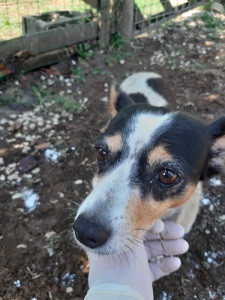 IMG-20190920-WA0015