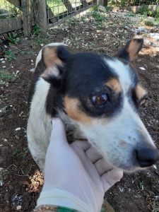 IMG-20190920-WA0018