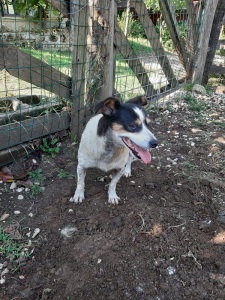 IMG-20190920-WA0020