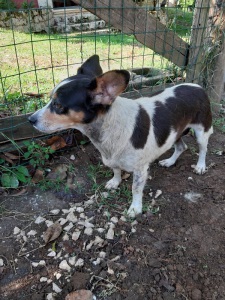 IMG-20190920-WA0022