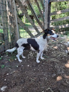 IMG-20190920-WA0023