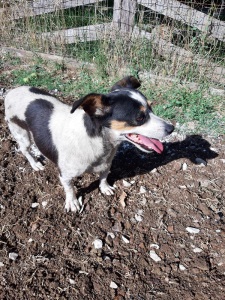 IMG-20190920-WA0024