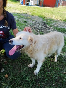 CARLOTTA2