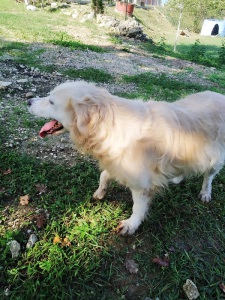 CARLOTTA5