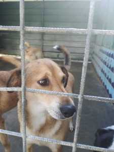 IMG-20191014-WA0066