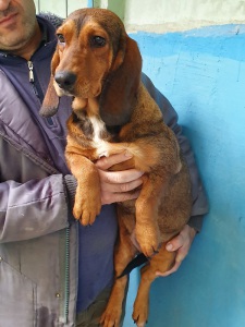 ANNABELLA1