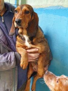ANNABELLA2