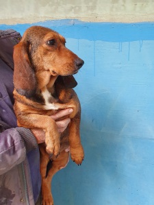 ANNABELLA4
