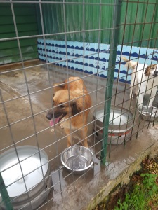 IMG-20190102-WA0034