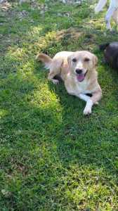 IMG-20191110-WA0007