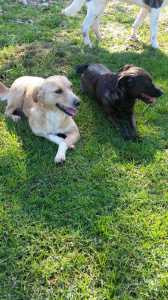 IMG-20191110-WA0013
