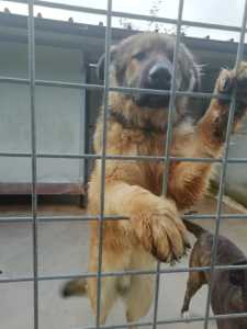 IMG-20191210-WA0012