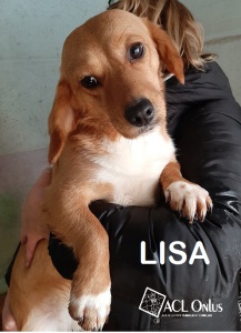 LISA9