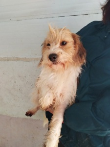 LULU' (2)
